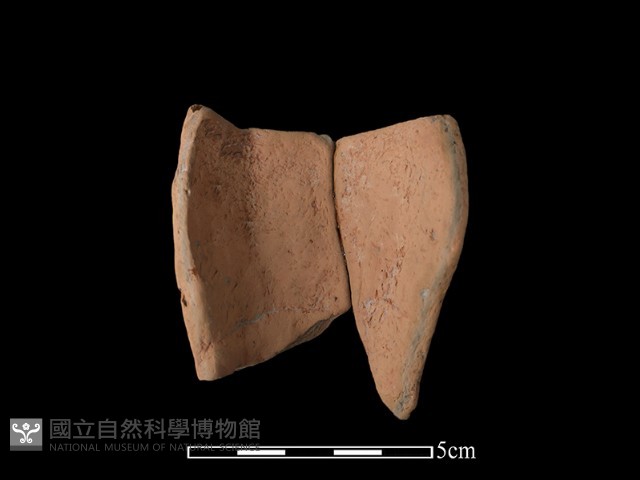 陶片藏品圖，第2張