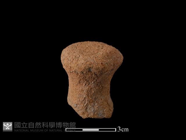 陶蓋鈕藏品圖，第1張