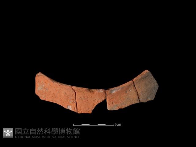 連杯形器藏品圖，第1張