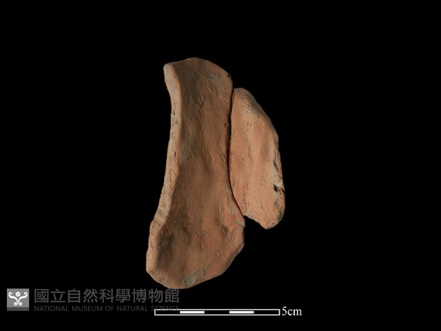陶片藏品圖，第1張