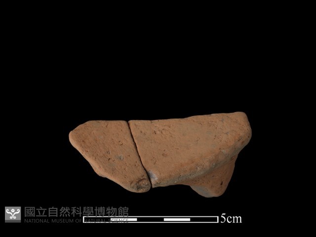 豆形器藏品圖，第3張
