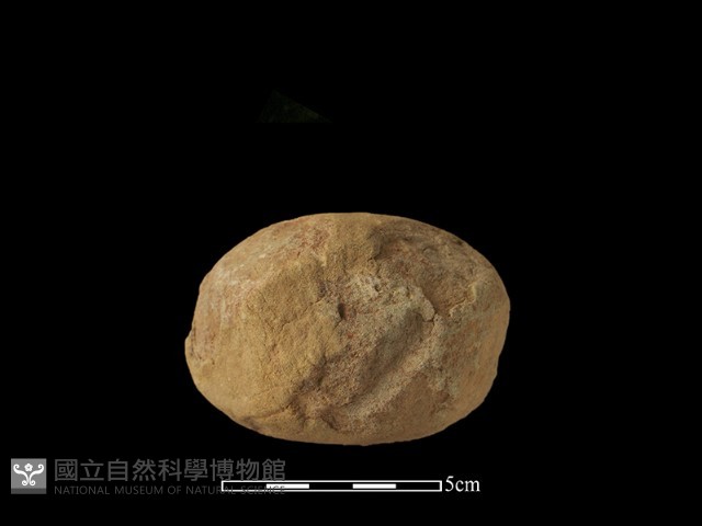 石鎚藏品圖，第2張