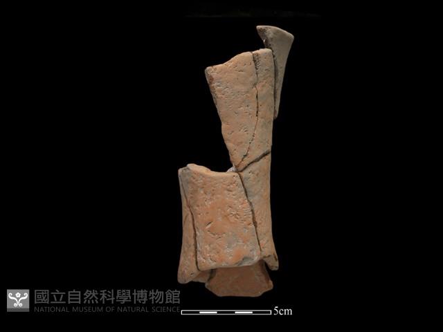 豆形器藏品圖，第1張