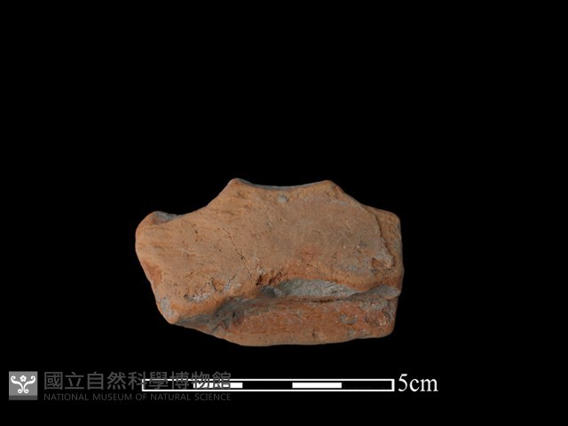 豆形器藏品圖，第2張