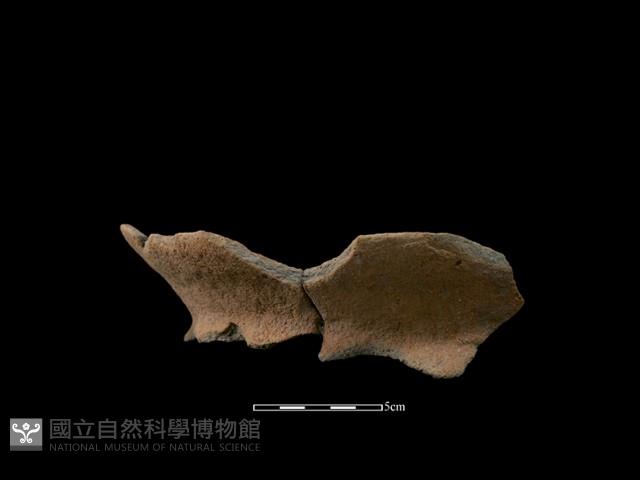 陶罐藏品圖，第2張