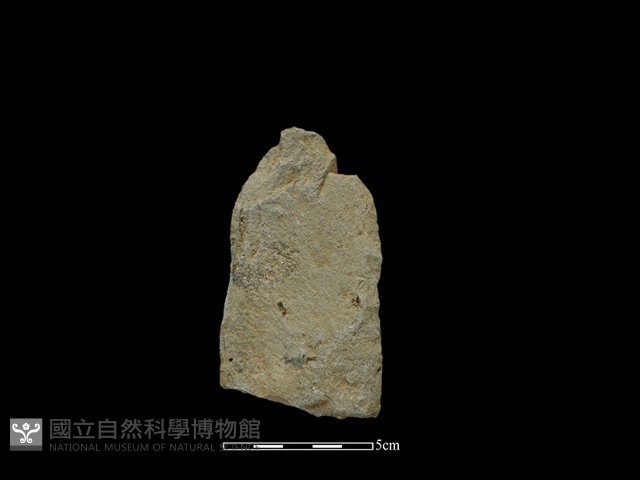 斧鋤形器藏品圖，第1張