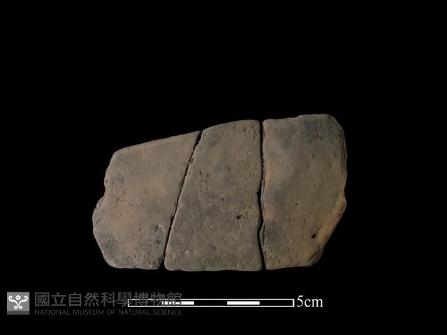 陶片藏品圖，第1張