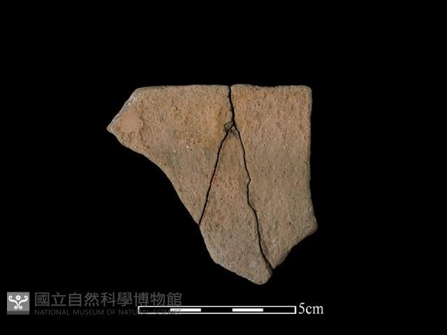 陶片藏品圖，第2張