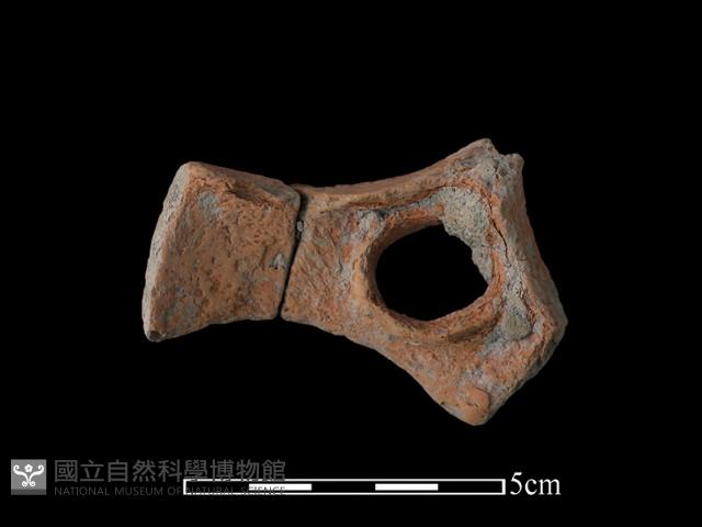 連杯形器藏品圖，第2張