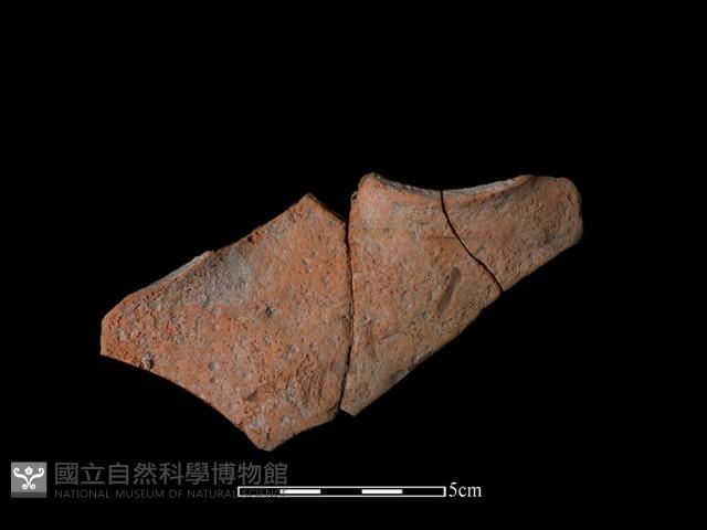 連杯形器藏品圖，第1張