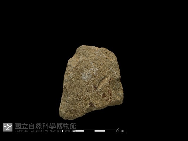 斧鋤形器藏品圖，第1張