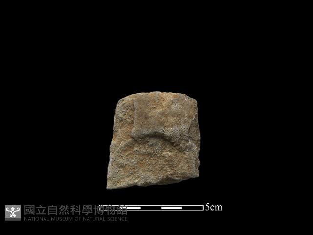 斧鋤形器藏品圖，第2張