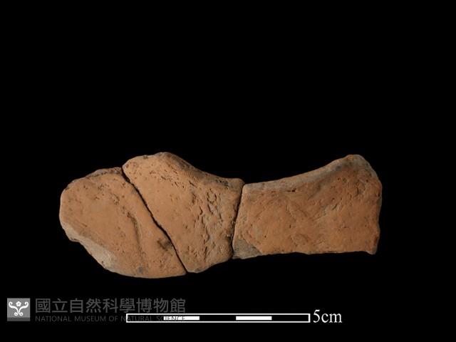 連杯形器藏品圖，第1張