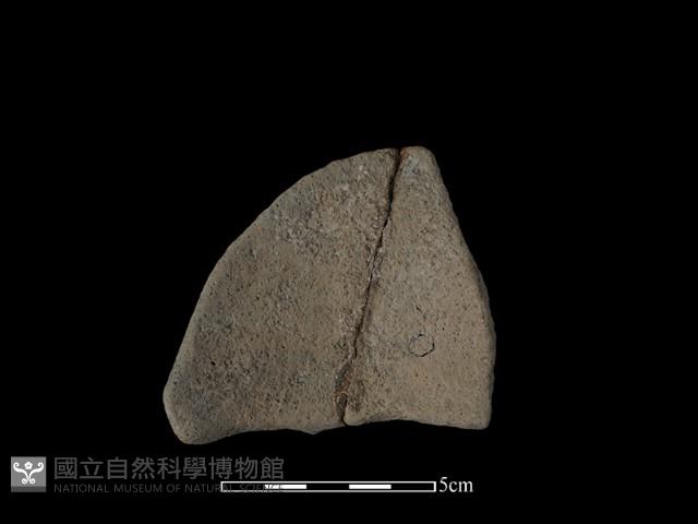 陶片藏品圖，第2張