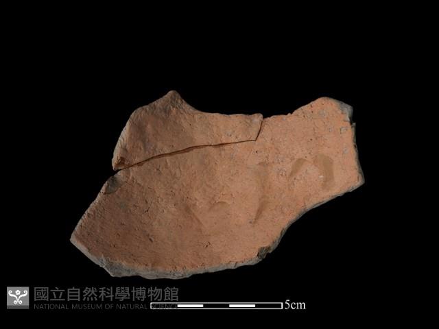 陶片藏品圖，第1張