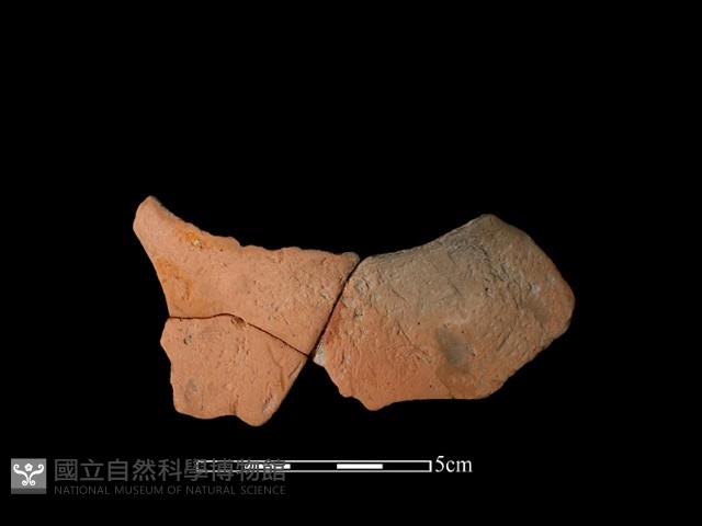 連杯形器藏品圖，第2張