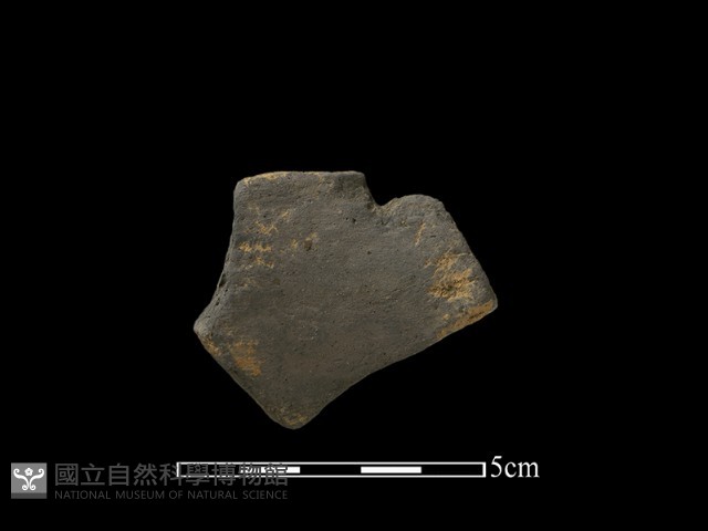 陶片藏品圖，第2張