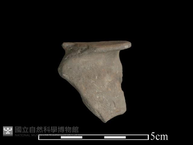 豆形器藏品圖，第3張