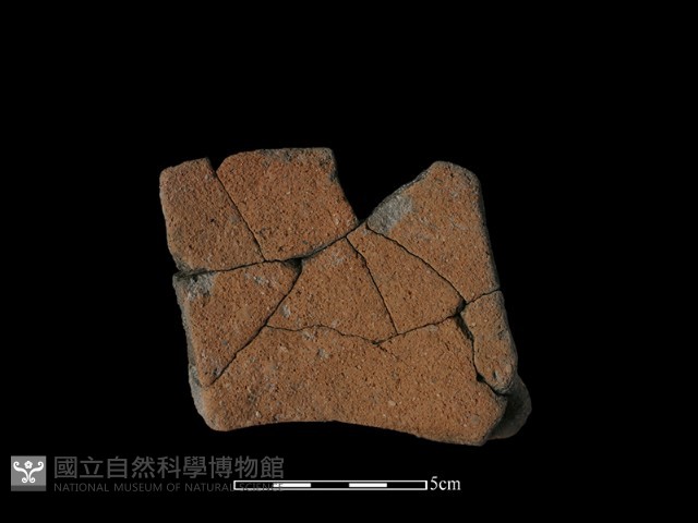 陶罐藏品圖，第2張