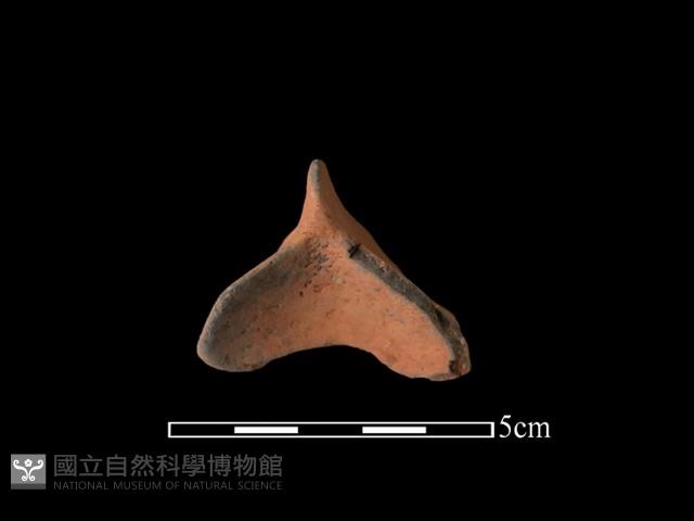 連杯形器藏品圖，第2張