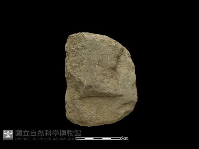 斧鋤形器藏品圖，第2張