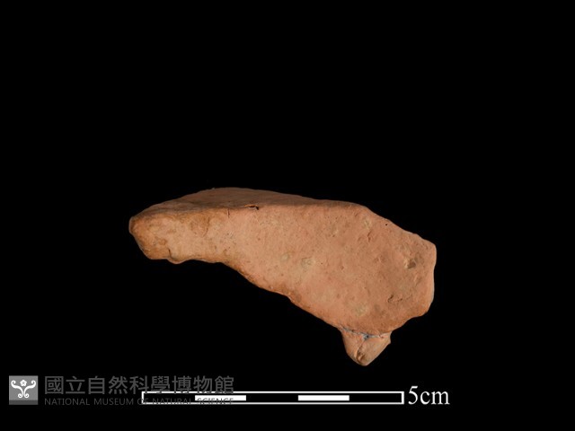 連杯形器藏品圖，第2張