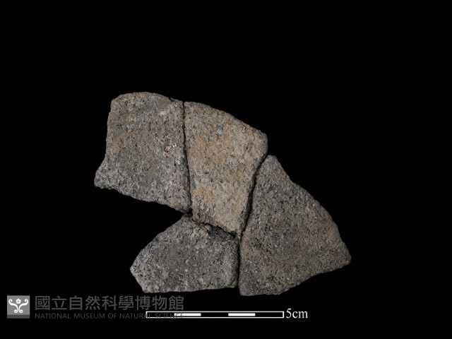 陶片藏品圖，第2張