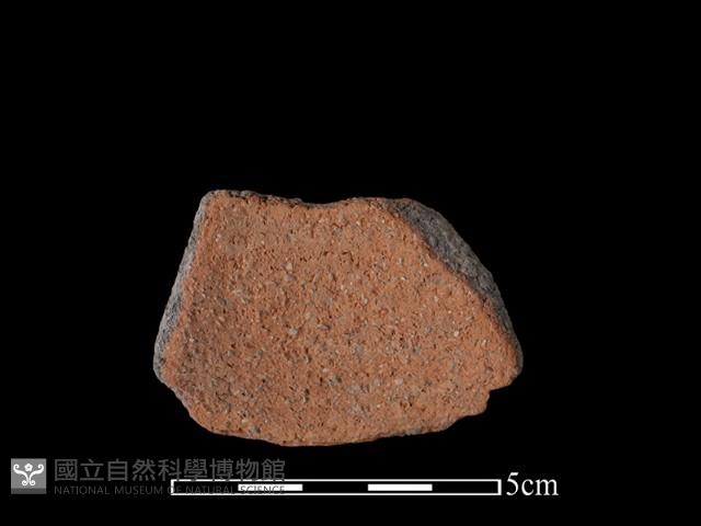 陶片藏品圖，第1張