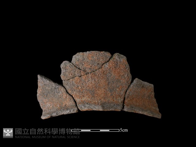 陶罐藏品圖，第2張