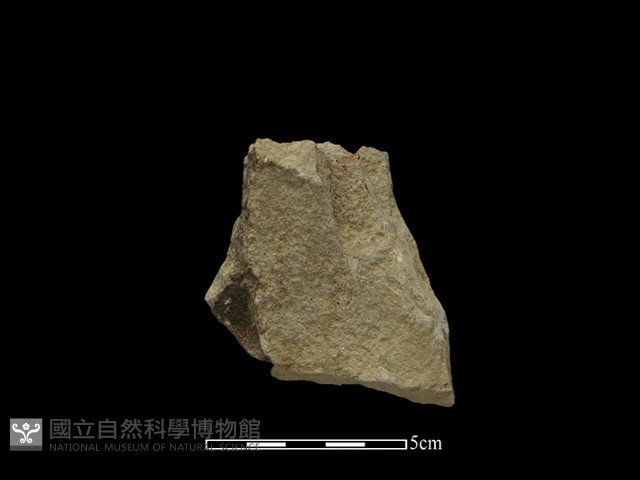 斧鋤形器藏品圖，第2張