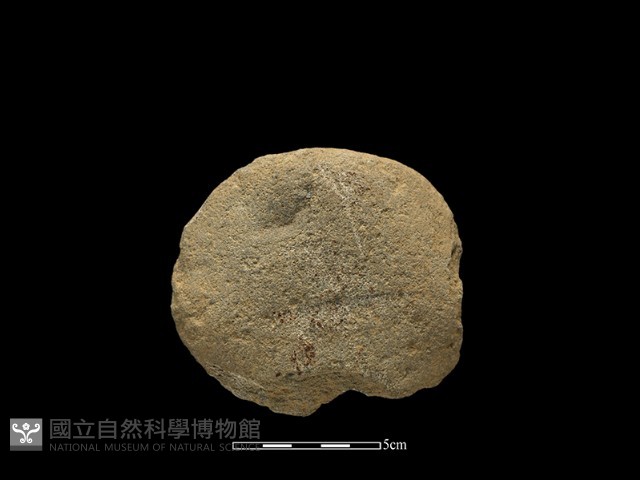砍砸器藏品圖，第1張