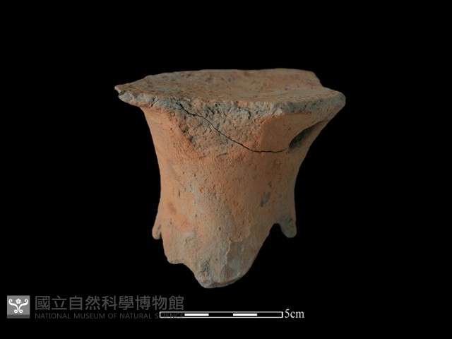 豆形器藏品圖，第1張