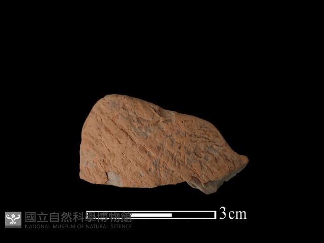 連杯形器藏品圖，第1張