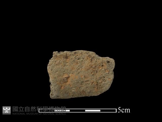 陶片藏品圖，第2張