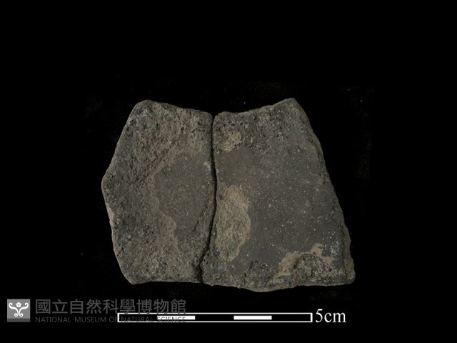 陶片藏品圖，第2張
