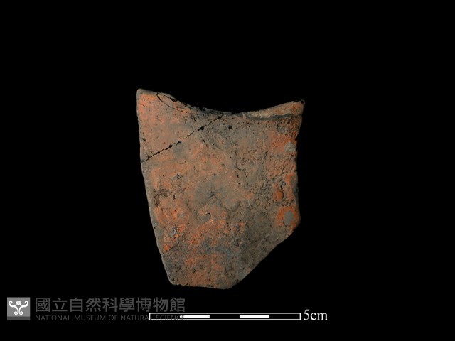 連杯形器藏品圖，第2張