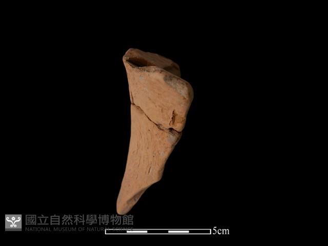 豆形器藏品圖，第1張