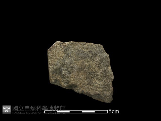 斧鋤形器藏品圖，第2張