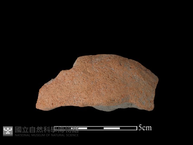 陶蓋藏品圖，第2張
