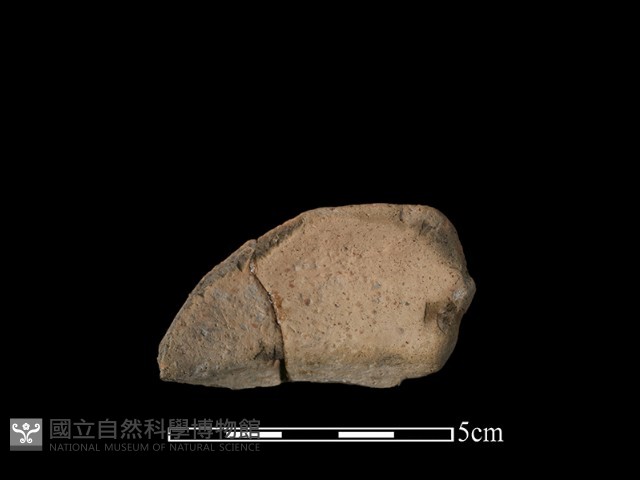 陶罐藏品圖，第2張