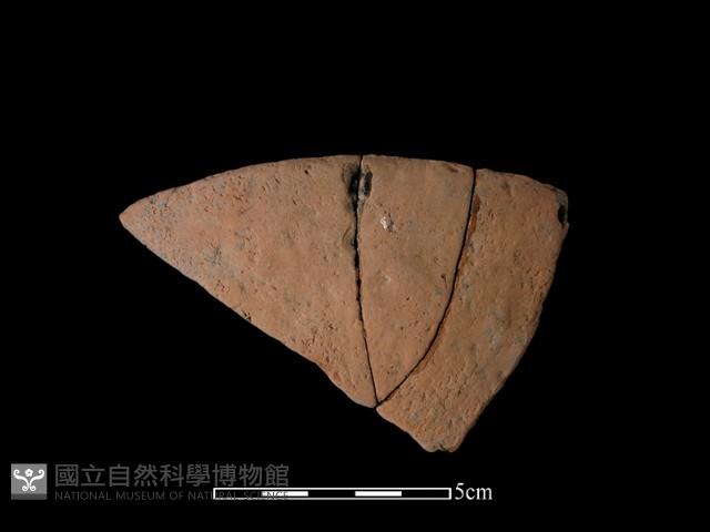 陶片藏品圖，第2張