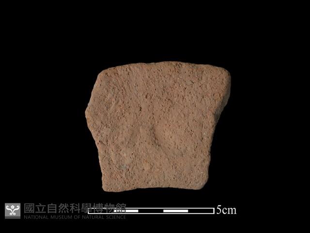 陶罐藏品圖，第2張