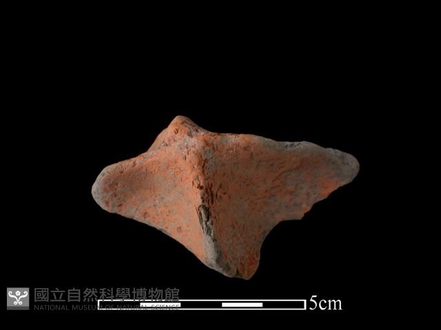 連杯形器藏品圖，第1張