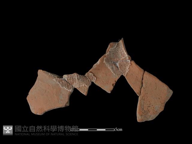 連杯形器藏品圖，第2張