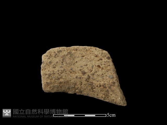 陶片藏品圖，第2張
