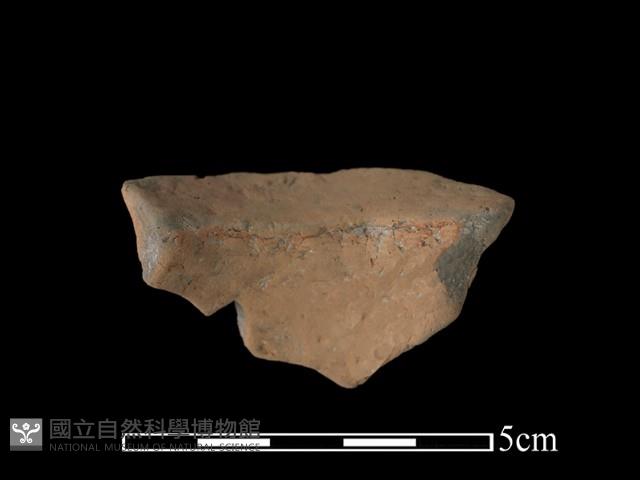 陶片藏品圖，第1張