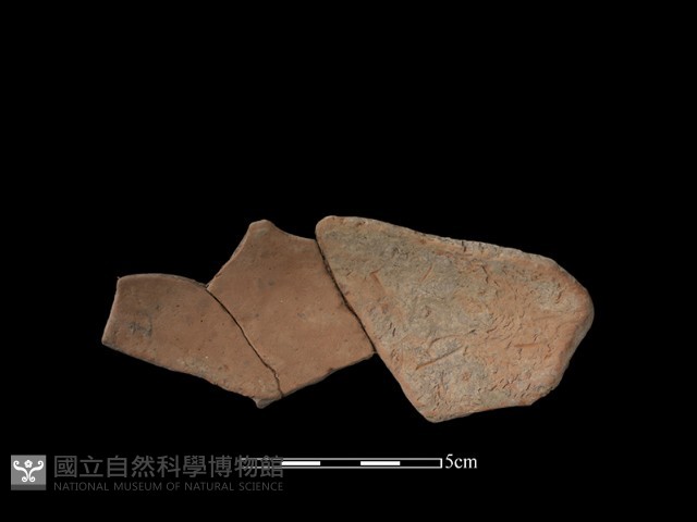 陶片藏品圖，第1張