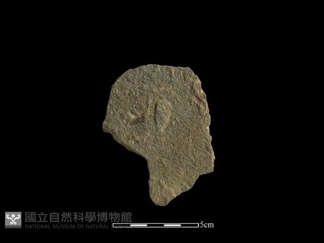 斧鋤形器藏品圖，第1張