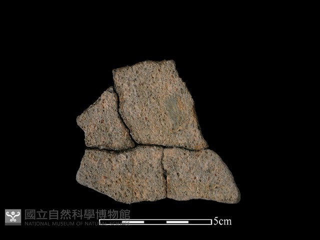 陶片藏品圖，第2張
