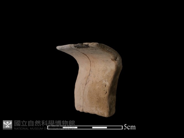 陶罐藏品圖，第3張